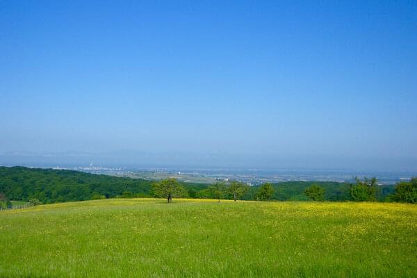Maison de vacances Badenweiler Zur Alten Dame Beaujardin