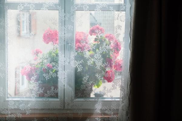 Ferienhaus Badenweiler Zur Alten Dame 